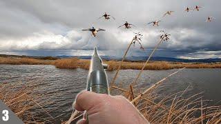 DUCK HUNTING In HOWLING Winds | 2 Bands!