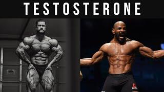 How To Increase Testosterone - Full Guide to Increasing Your Testosterone