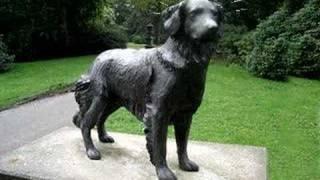 stone dog   (stenen hond)