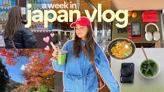 a week in japan: what we ate & did, matcha crawl, 7 eleven hauls (kyoto + osaka)