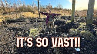 Vast Areas of Finds Exposed by Storm Eowyn! Mudlarking & Treasure Hunting