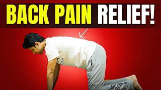 Daily Exercise for BACK PAIN | 15-Min Workout at home | Saurabh Bothra