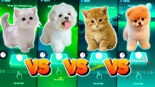 CUTE CAT DUBIDUBI CHIPI CHAPA VS CUTE DOG ENEMY CUTE CAT SHAKIRA WAKA WAKA CUTE DOG AQUA BARBIE GIRL