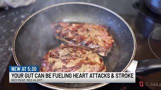 Red meat, red alert: Your gut can be fueling heart attacks and stroke