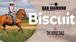 "Biscuit" - Bar Diamond Performance Horses x Rancho Rio Horse Sale 2025