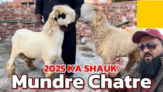 Mundre Chatre 2025 | desi Mundre | Shauk wale Mundre | Lahore