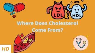 Where Does Cholesterol Come From?