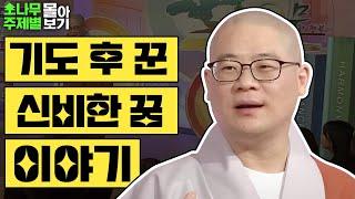 기도 하고 꾼 신비한 꿈 이야기  [광우스님 소나무 주제별 몰아보기]