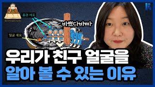 [방구석심리톡] 유미의 세포들? 우리의 세포들! 우리는 각각 제 할 일을 한다 | 연세대학교 박수진 교수 | 한국심리학회 KPA