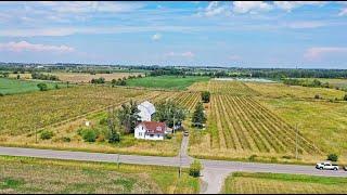 Farm for Sale - 20.6 Acre Farm with House and Outbuildings in Grimsby, for $1,000,000