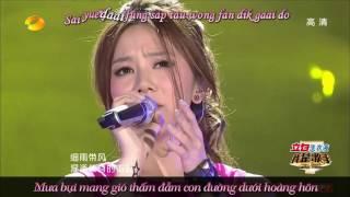 [Vietsub + Kara + Pinyin] Thích Em - G.E.M Đặng Tử Kỳ | 喜欢你 - G.E.M 邓紫棋