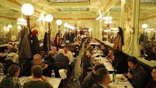 Les brasseries françaises ou la tradition à la carte • FRANCE 24