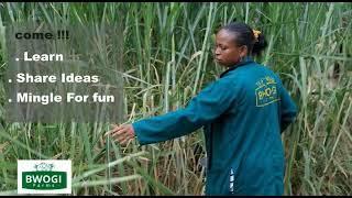 Bwogi farms farm tour in Rakai District