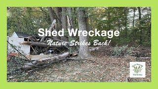 #34 Shed Wreckage - Nature Strikes Back - Part 1