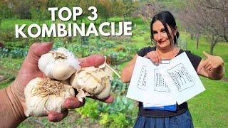 Top 3 Combinations For Winter Planting of GARLIC