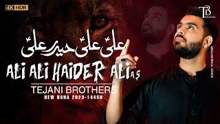 Mola Ali Noha | ALI ALI HAIDER ALI | Tejani Brothers | New Nohay 2023 | Muharram 1445