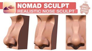 Nomad Sculpt: Realistic Nose Step by Step