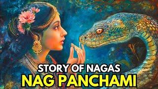 Full Story Of Nagas - Nag Panchami Festival