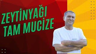 NATUREL SIZMA ZEYTİNYAĞI FAYDALARI