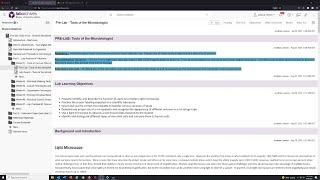 Lab Archive Grading