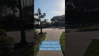 Steel Drums at Disney World's Caribbean Beach Resort