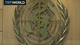 Insight: World Health Organization