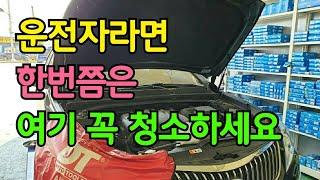 한번도 여기 청소 안 했다면 무조건 보세요 (이건 진짜 내차 관리입니다.. 특히 아직도 모르는 운전자 꼭 보세요)