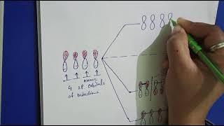 pi molecular orbital energy level diagram of 1,3-butadiene