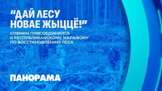 Более 70 тыс. человек приняли участие в республиканской акции "Дай лесу новае жыцце!" Панорама