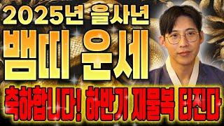2025년 미리보는 을사년 뱀띠운세축하드립니다! 을사년에 금전운,귀인,대운 들어온다! 뱀띠분들 인생이 바뀝니다! 53년생 65년생 77년생 89년생 뱀띠 운세