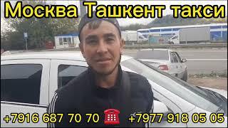 Москва Ташкент такси