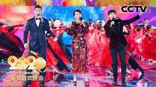 [2020央视春晚] 歌曲《共同家园》 演唱：刘嘉玲 陈坤 夏利奥（完整版）| CCTV春晚