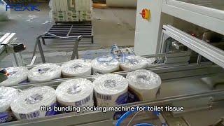 Toilet Tissue Paper Roll Bundle Packing Machine: the only guide you'll ever need