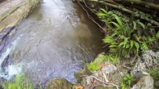 Salto de Oro, Pedro Carbo, Guayas GOPRO