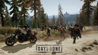 DAYS GONE Letting Freakers do all the work.