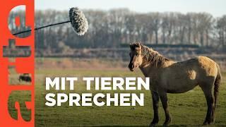 Tiere verstehen - Einblicke in eine fabelhafte Welt | Doku HD | ARTE