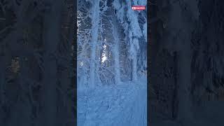 Rhoen - Wasserkuppe - Sled ride - Schlittenfahrt
