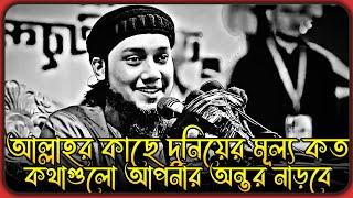 আল্লাহর কাছে দুনিয়ার মূল্য কতটুকু ? আবু ত্বহা মুহাম্মদ আদনান । abu toha adnan new waz 2024