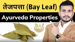 Teji Se Rogo Ko Khatam Karne Wala Tejpatta (तेजपत्ता)|| Indian Bay Leaf Benefits In Ayurveda | Ep362