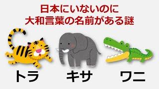 なぜ「虎」をトラと呼ぶのか