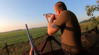 Crow hunting - Good shooting with the boys