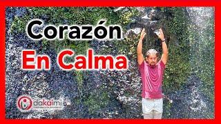 Inteligencia Emocional - Un corazón en Calma es la calve de tu salud emocional