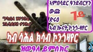 Eritrea,ዝርዝራዊ ሰነድ ህግደፍ ክሳብ ምስታፍ ኲናት ደቡብሱዳን፡ኮንጎ  ዛየር,ባድመ-መረብሰቲትPart1#eritreanmusic #tefetawitalkshow