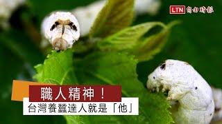 職人精神！台灣養蠶達人就是「他」