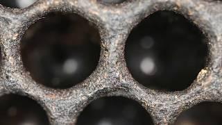 Why Rotating Out Old Comb Is Important