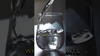 Do You Know Why Ice Floats on Water? #facts #motivation #positivemindset #curiosity