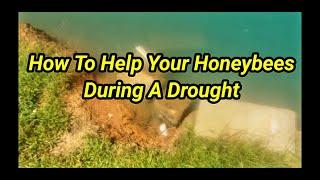 How To Help Your Honeybees During A Drought