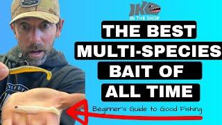 The BEST Multi-species LURE of ALL TIME (Beginner's Guide to Good Fishing)