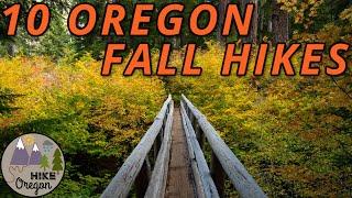 Best Fall Day Hikes In Oregon