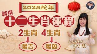 七仙羽2025蛇年生肖運程｜生肖排行榜公開 一生肖犯太歲仍有運行｜改變磁場催運有法 健康財富姻緣精選｜健康嗎@HealthCodeHK【新年健康運】#七仙羽